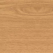 0219_Oak 2