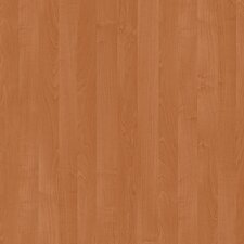 DTDL 1912 BS BU Alder