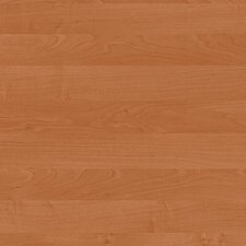 DTDL 1912 BS BU Alder